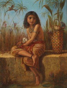 Egyptská květinka